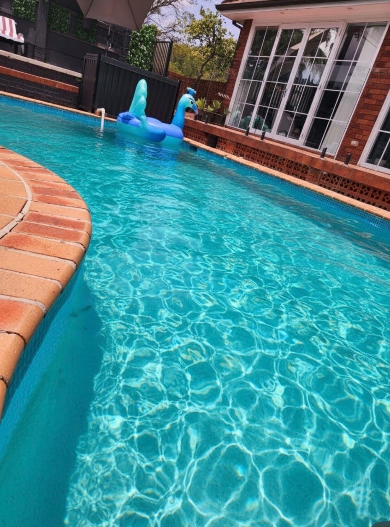 Pool in Bass Hill