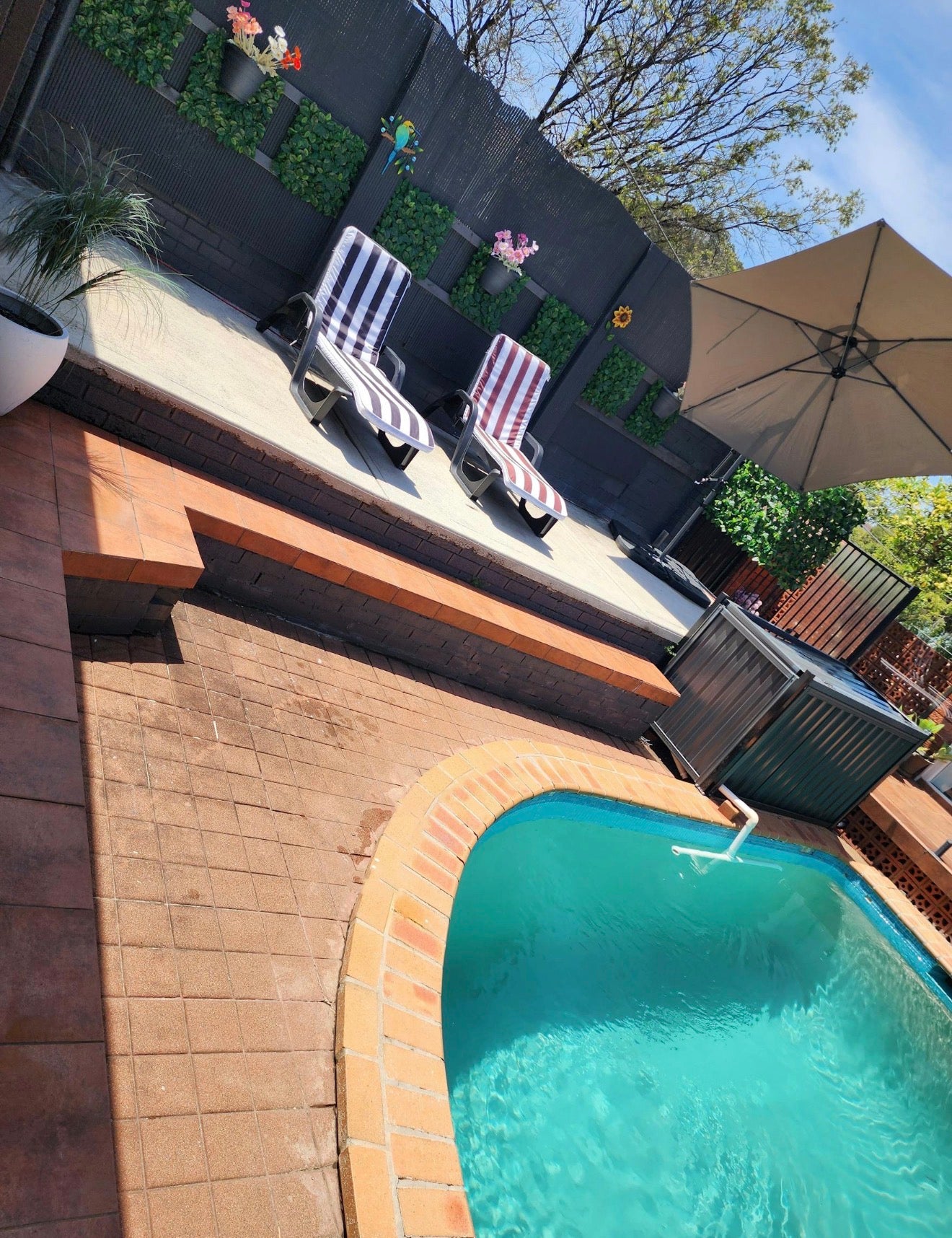 Pool in Bass Hill