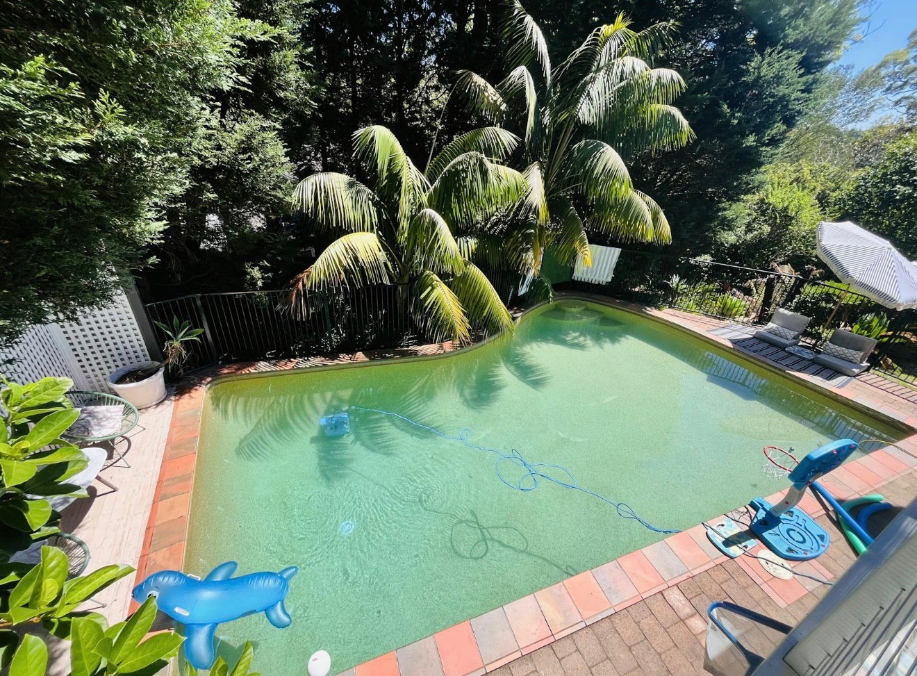 Pool In Saint Ives Chase