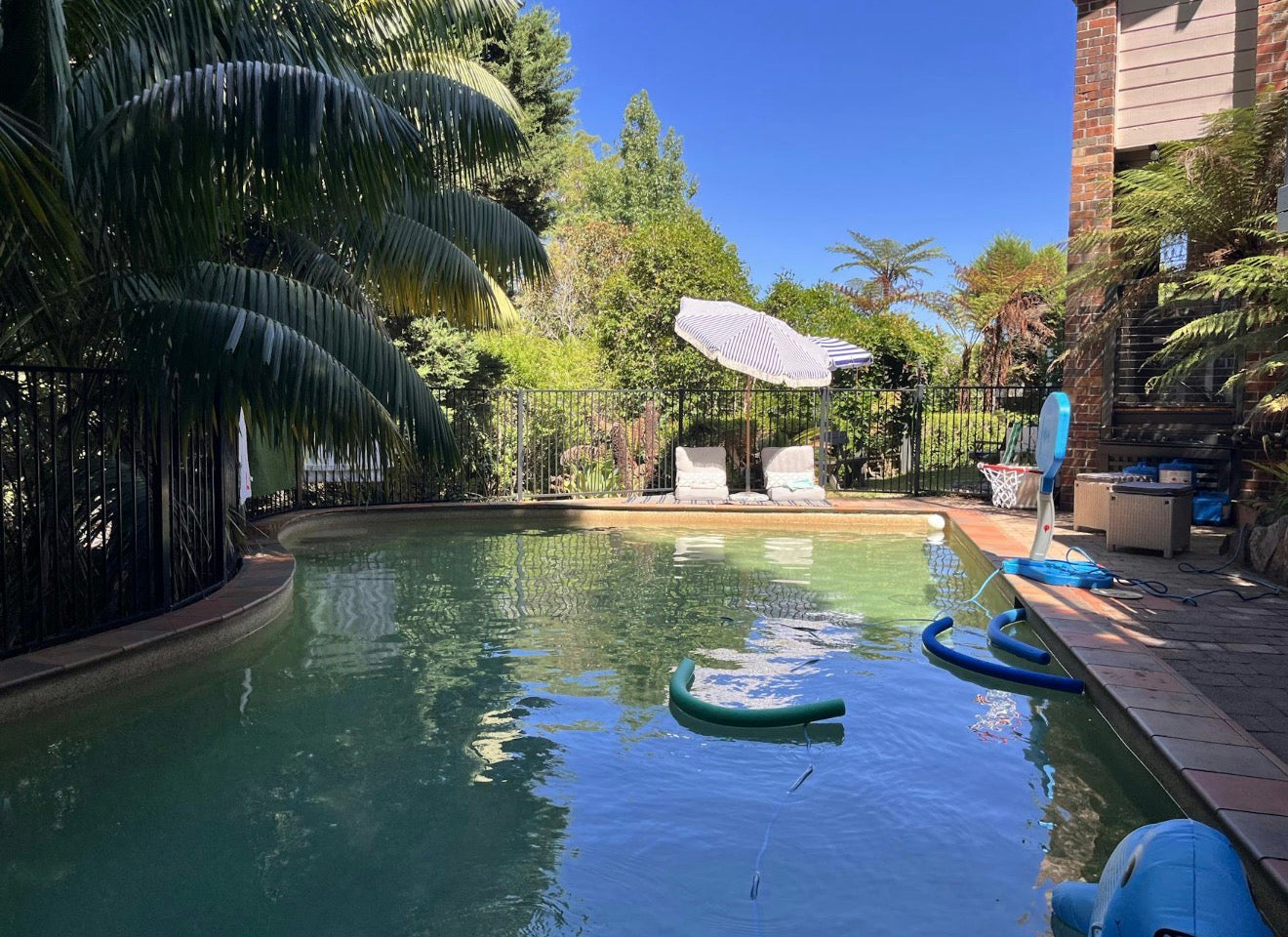 Pool In Saint Ives Chase