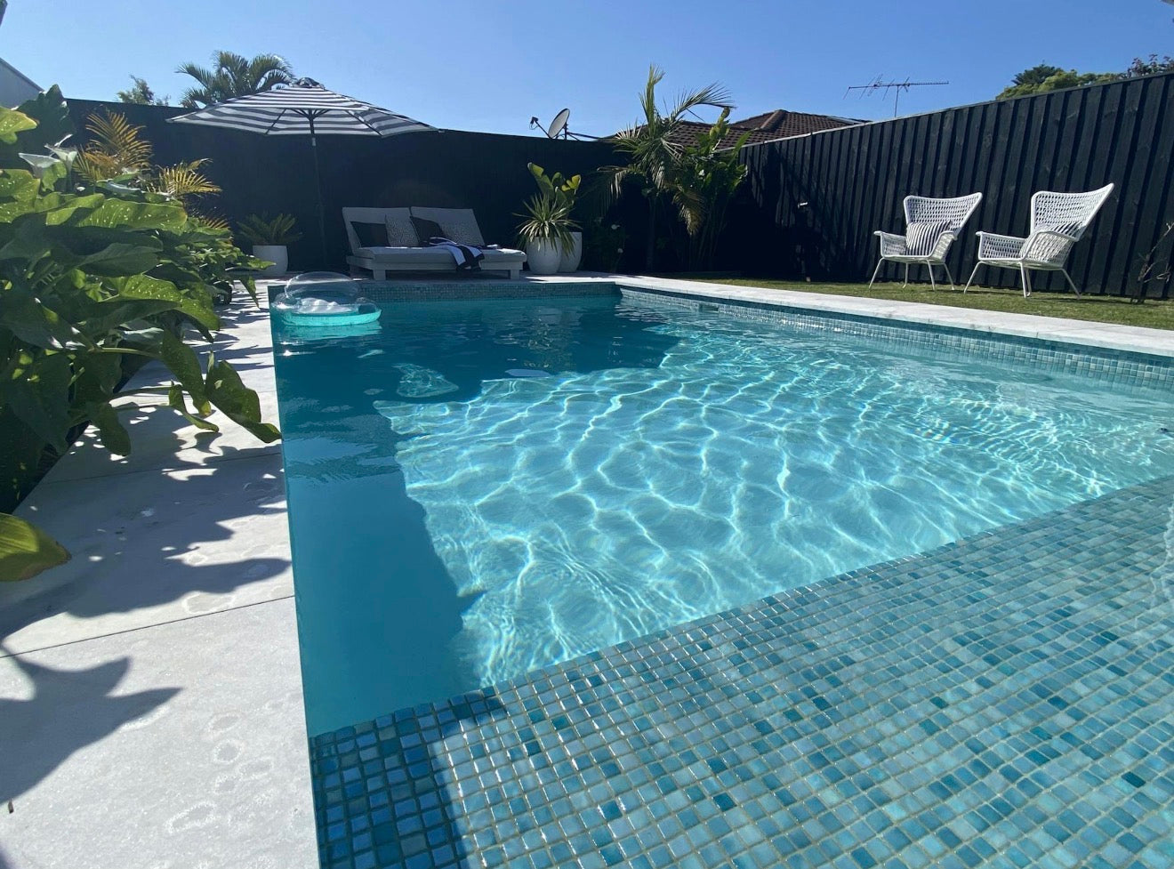 Pool in Dee Why
