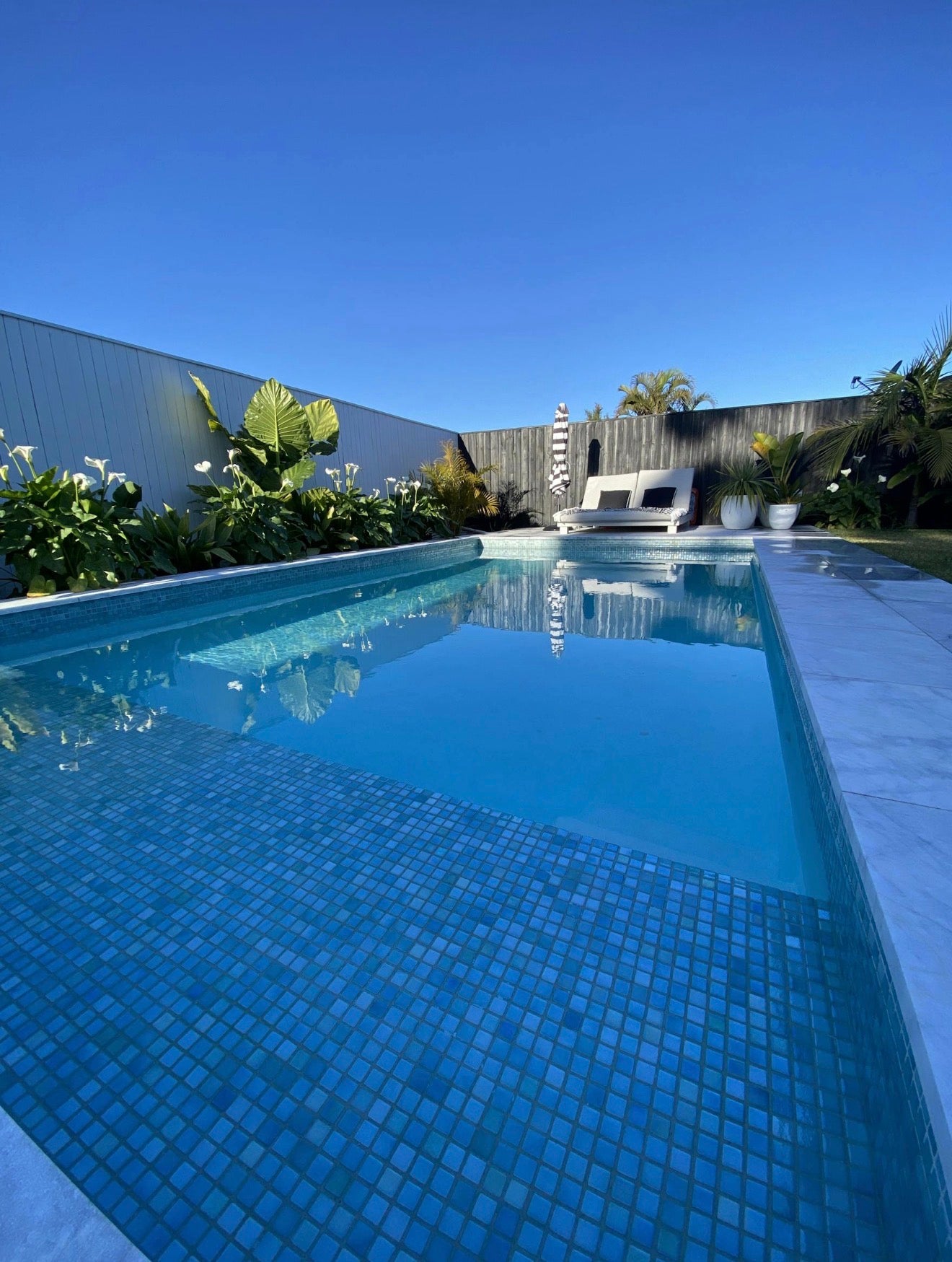 Pool in Dee Why
