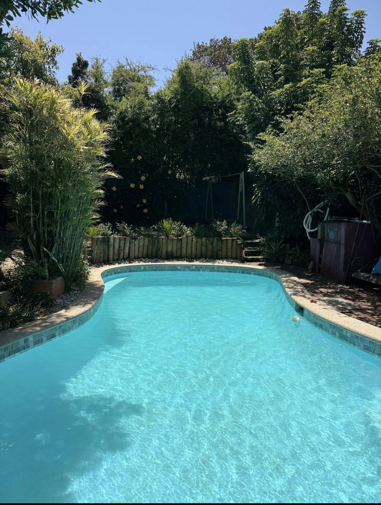 Pool in Haberfield