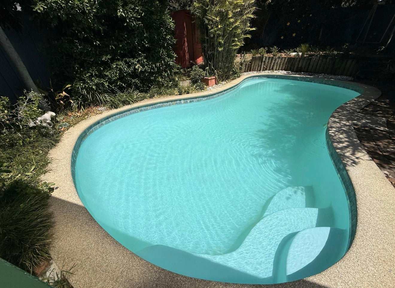 Pool in Haberfield